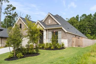 228 W Netleaf Court, Montgomery, TX 77316