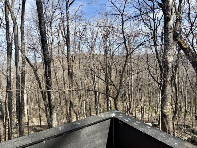 3174 Gap Rd, Altamont, TN 37301