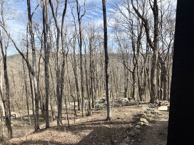 3174 Gap Rd, Altamont, TN 37301