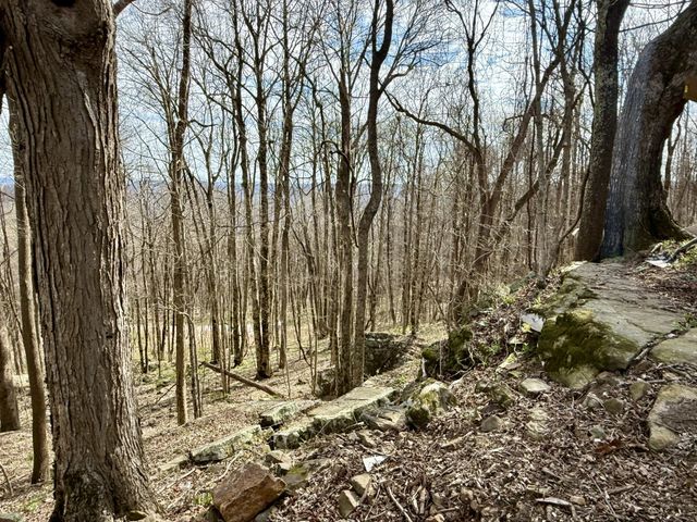 3174 Gap Rd, Altamont, TN 37301