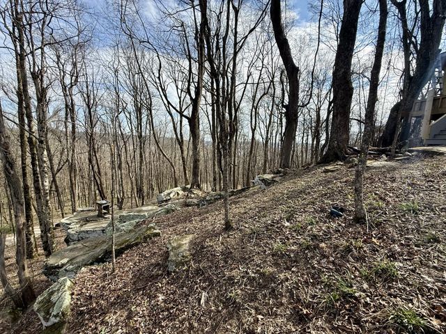 3174 Gap Rd, Altamont, TN 37301