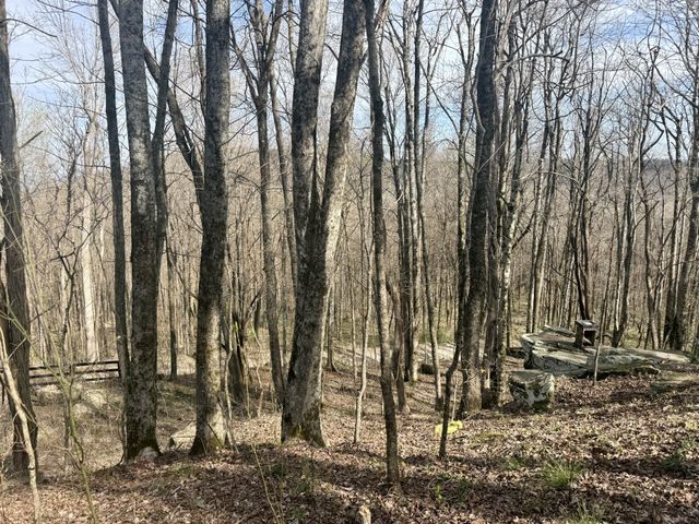3174 Gap Rd, Altamont, TN 37301