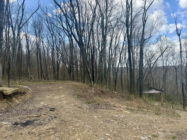 3174 Gap Rd, Altamont, TN 37301
