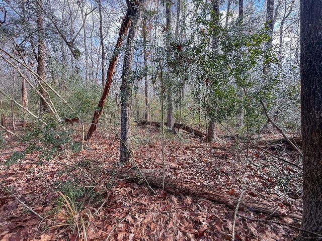 19423 Highway 190 E, Livingston, TX 77351