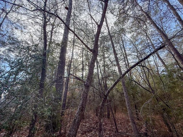 19423 Highway 190 E, Livingston, TX 77351