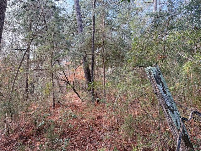 19423 Highway 190 E, Livingston, TX 77351