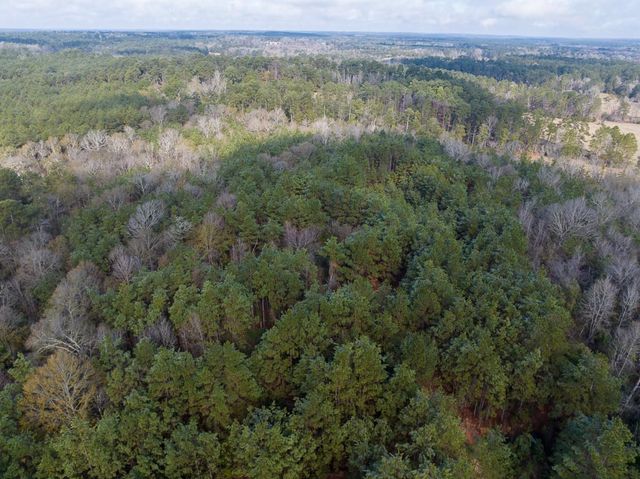 19423 Highway 190 E, Livingston, TX 77351