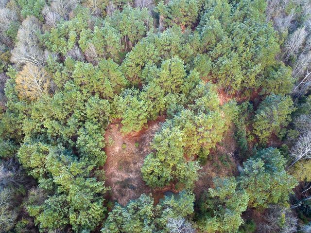 19423 Highway 190 E, Livingston, TX 77351