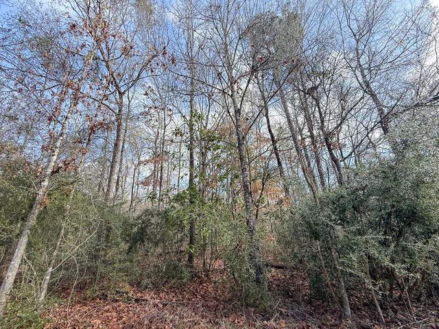 19423 Highway 190 E, Livingston, TX 77351