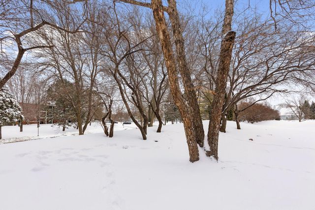 1603 Raindrop Drive, Eagan, MN 55121