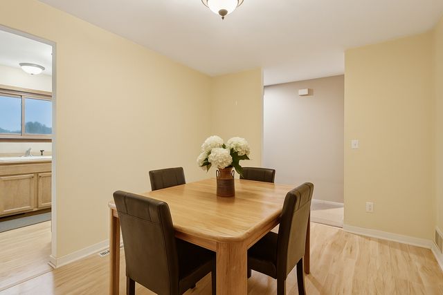 1603 Raindrop Drive, Eagan, MN 55121