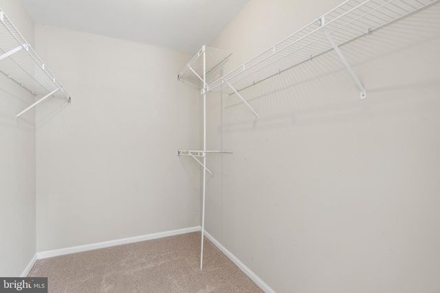 9202 MOON RIVER CT, Hyattsville, MD 20783