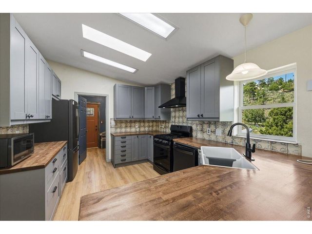 285 Guardian Peak Dr, Livermore, CO 80536