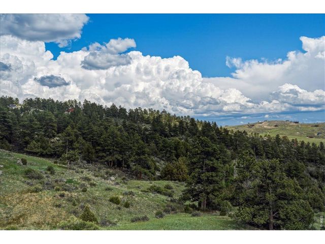 285 Guardian Peak Dr, Livermore, CO 80536
