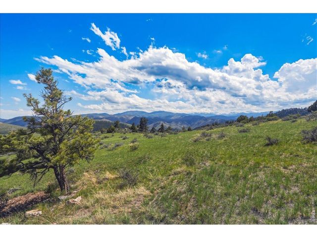 285 Guardian Peak Dr, Livermore, CO 80536