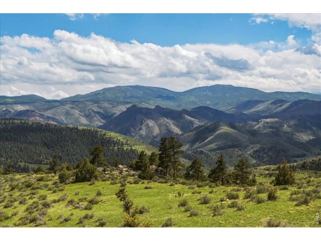 285 Guardian Peak Dr, Livermore, CO 80536