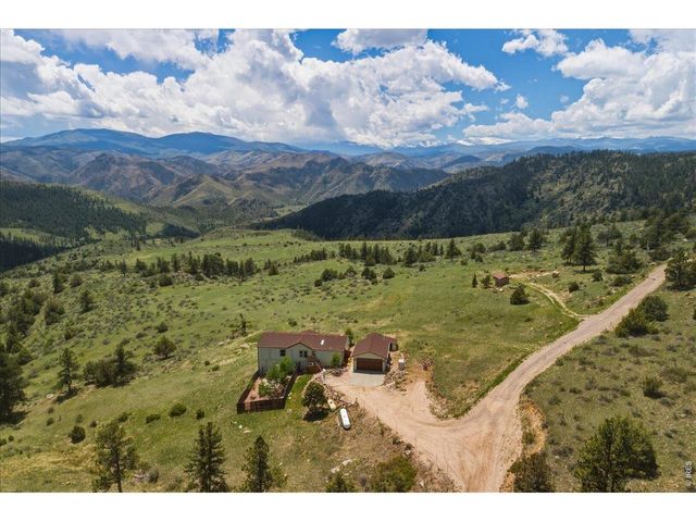 285 Guardian Peak Dr, Livermore, CO 80536