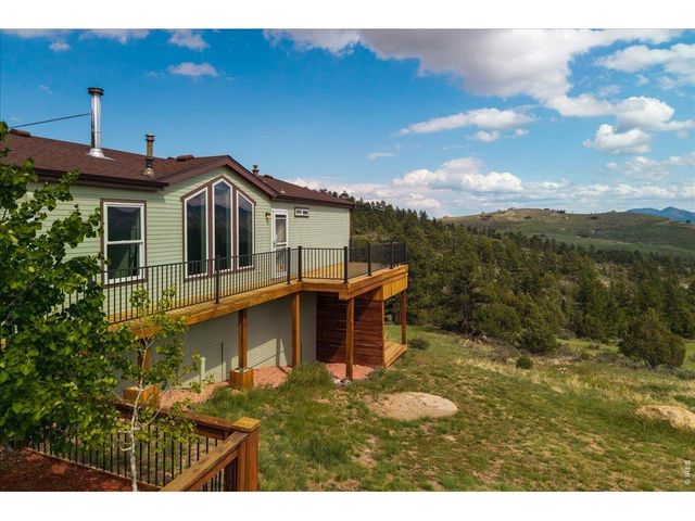 285 Guardian Peak Dr, Livermore, CO 80536