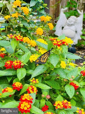 2519 BUCKELEW DR, Falls Church, VA 22046