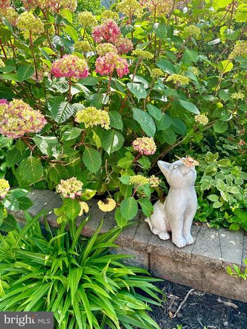 2519 BUCKELEW DR, Falls Church, VA 22046