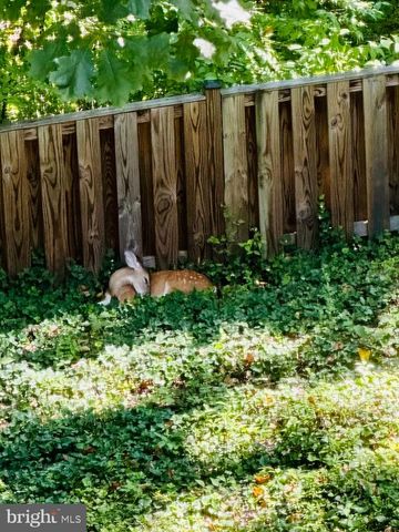 2519 BUCKELEW DR, Falls Church, VA 22046