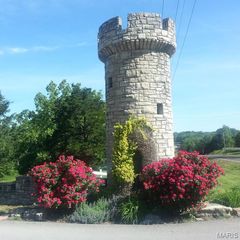 6-264 Hamilton, De Soto, MO 63020