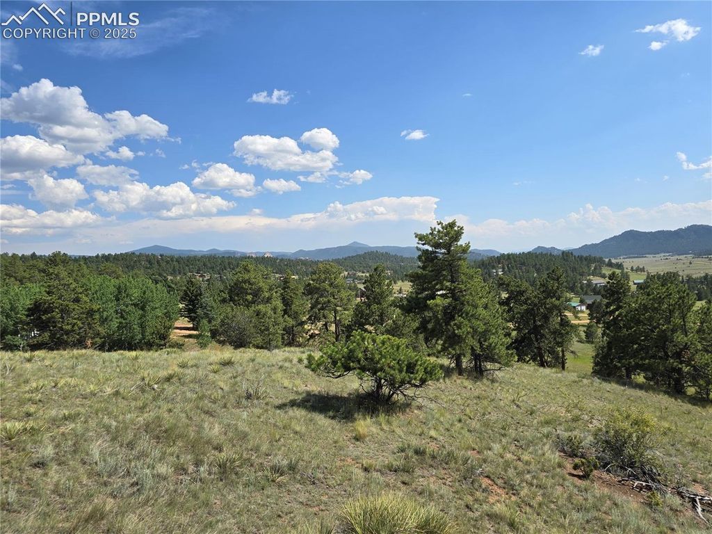 71 Elkhorn Circle, Florissant, CO 80816 — exterior