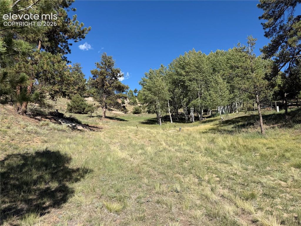 71 Elkhorn Circle, Florissant, CO 80816 — photo 2