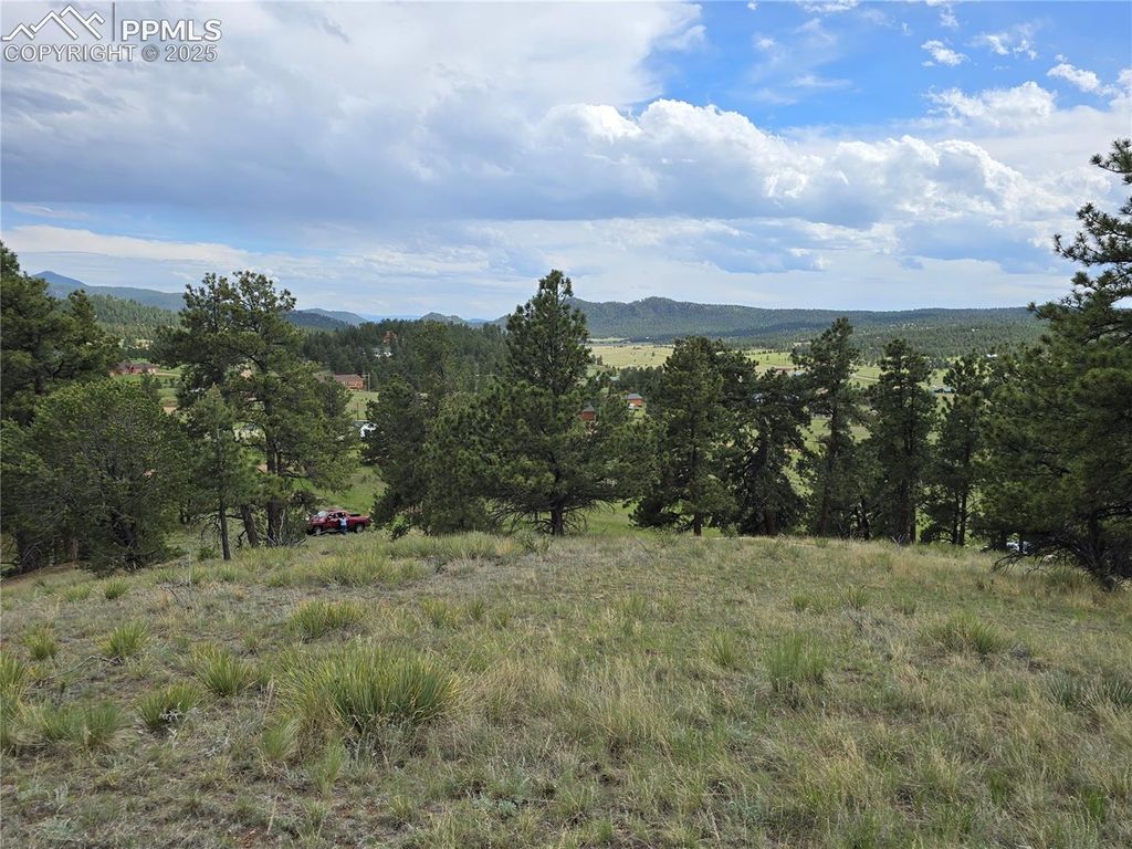 71 Elkhorn Circle, Florissant, CO 80816 — photo 3