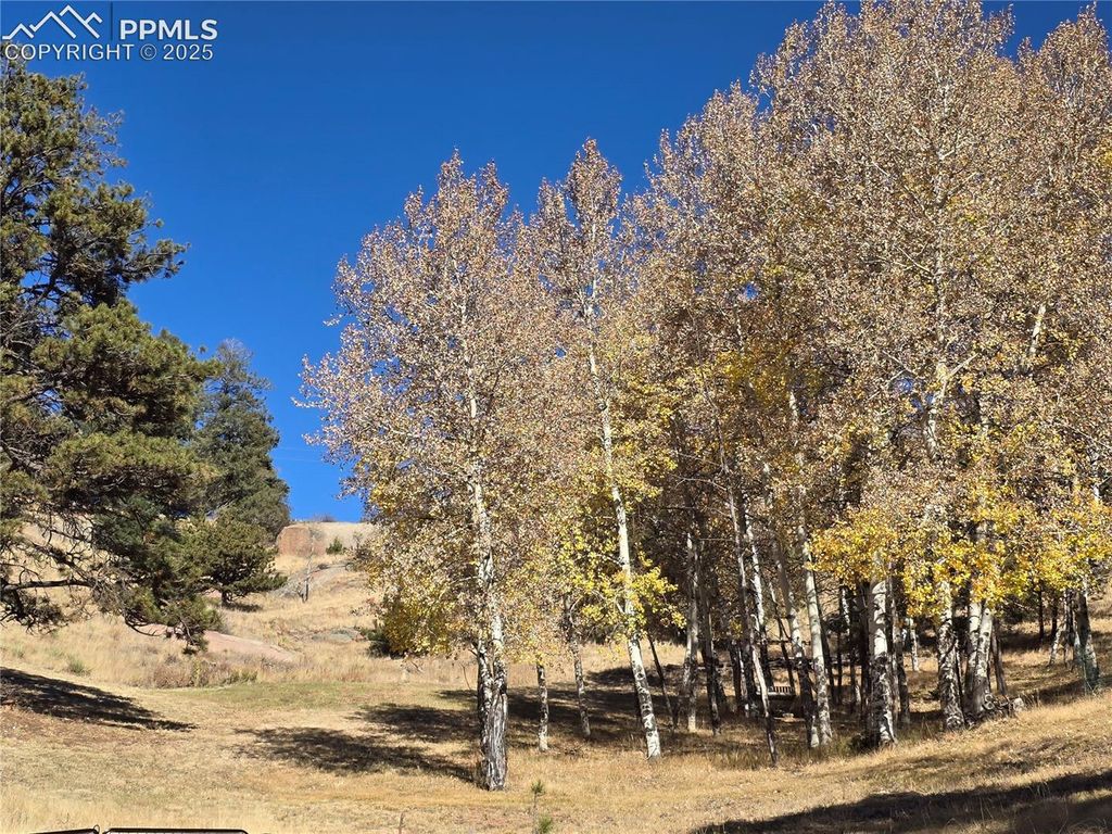 71 Elkhorn Circle, Florissant, CO 80816 — photo 4