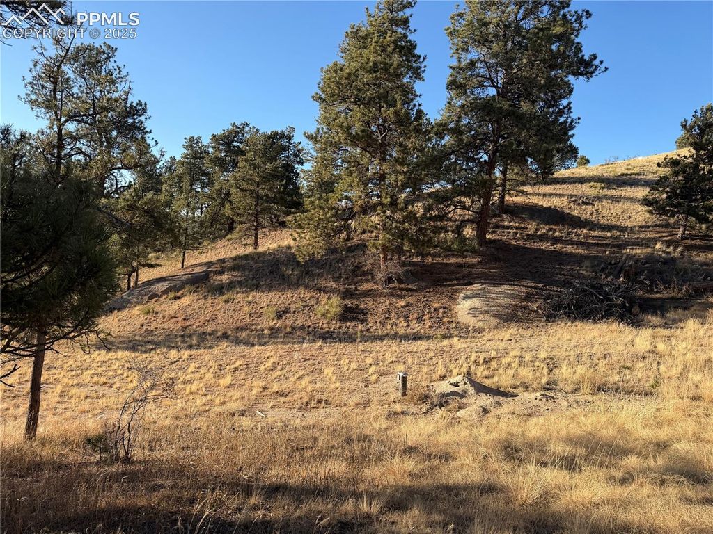 71 Elkhorn Circle, Florissant, CO 80816 — photo 5