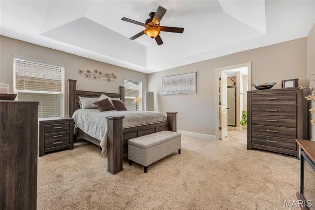 223 Victoria Park Avenue, Wentzville, MO 63385