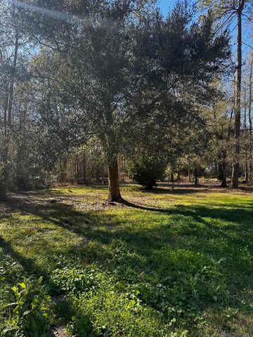 25066 Lobell Road, Livingston, LA 70754