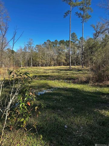 25066 Lobell Road, Livingston, LA 70754