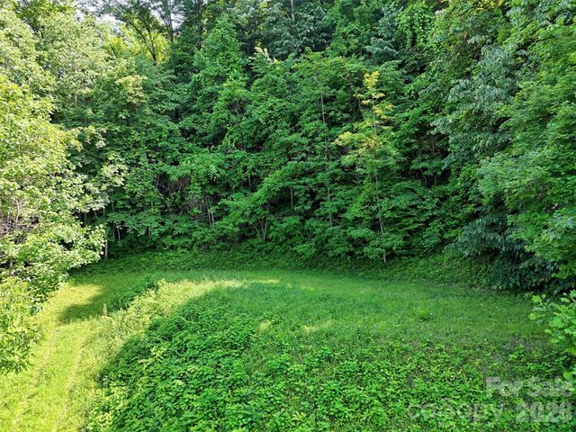 Lot 402 Malin Trail, Waynesville, NC 28786