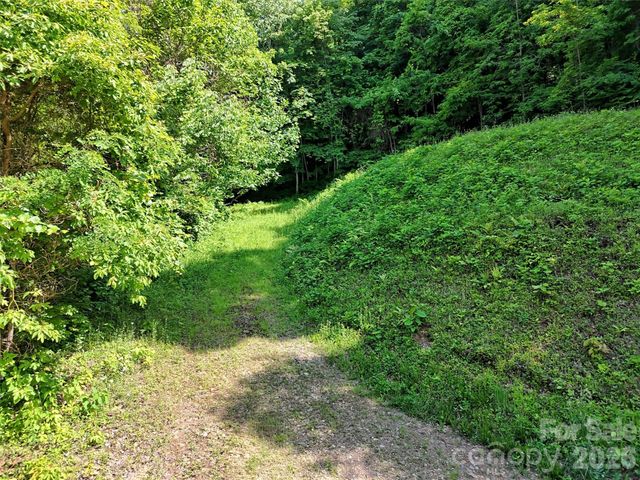 Lot 402 Malin Trail, Waynesville, NC 28786