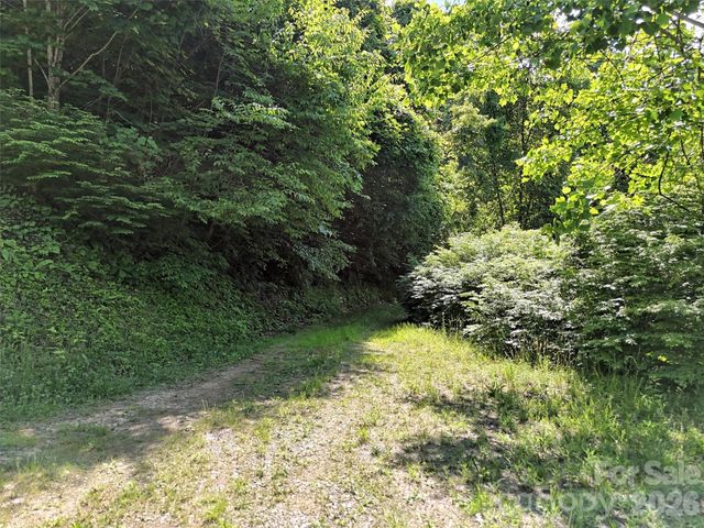 Lot 402 Malin Trail, Waynesville, NC 28786