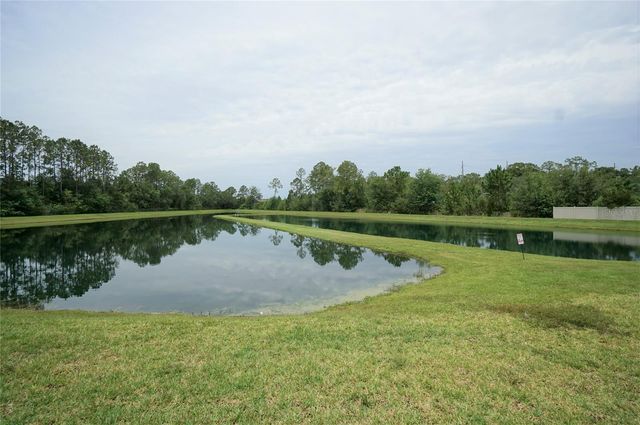 6016 GRAND SONATA AVENUE, Lutz, FL 33558