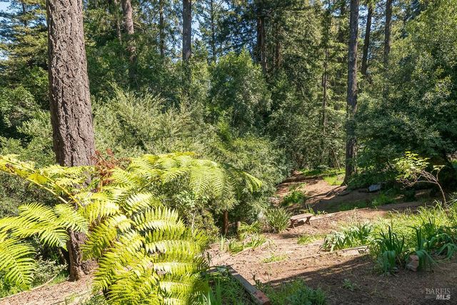 187 Conifer Way, Woodacre, CA 94973