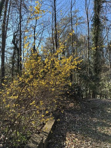 47 Harris Drive, Blue Ridge, GA 30513