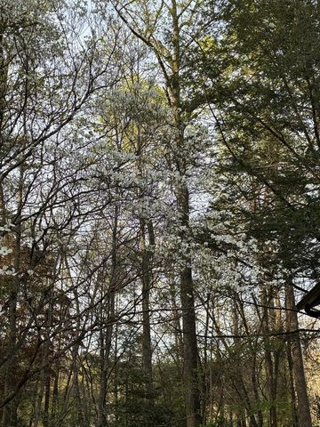 47 Harris Drive, Blue Ridge, GA 30513