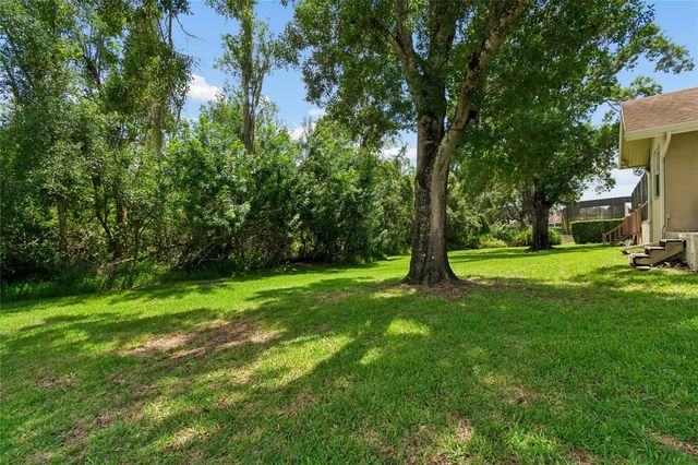 1055 RIVERSIDE RIDGE ROAD, Tarpon Springs, FL 34688