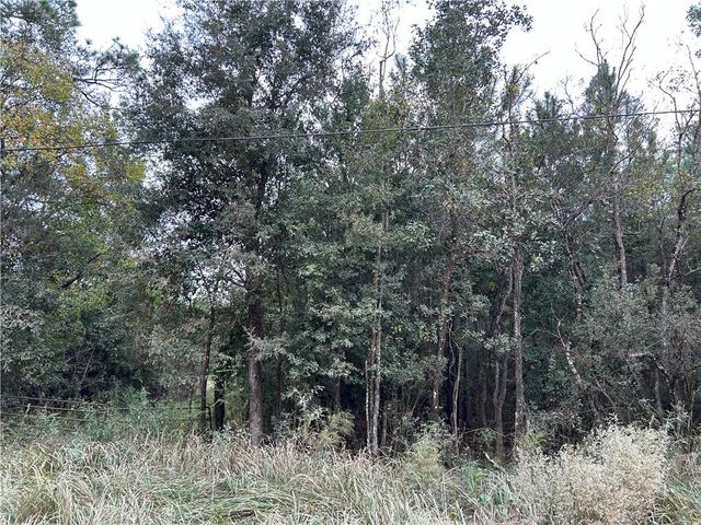 0 Taylor Avenue, Irvington, AL 36544