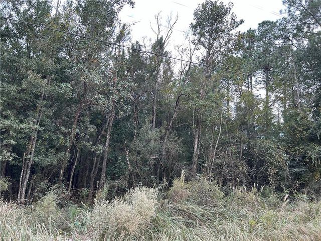 0 Taylor Avenue, Irvington, AL 36544