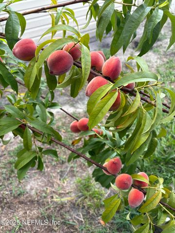 5382 MARSALA Lane, Jacksonville, FL 32244