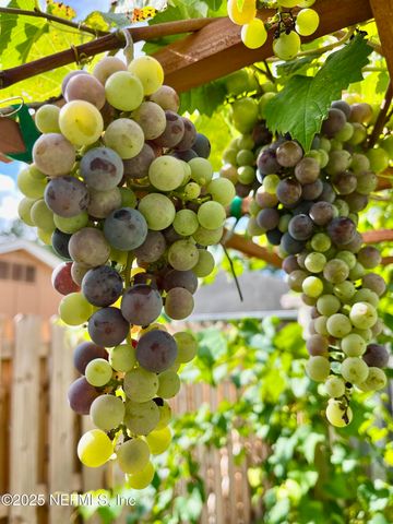 5382 MARSALA Lane, Jacksonville, FL 32244