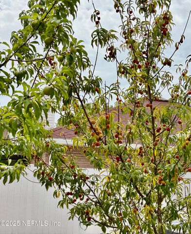 5382 MARSALA Lane, Jacksonville, FL 32244