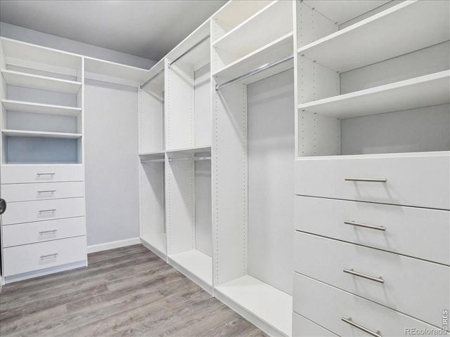 4411 Indigo Drive, Severance, CO 80550