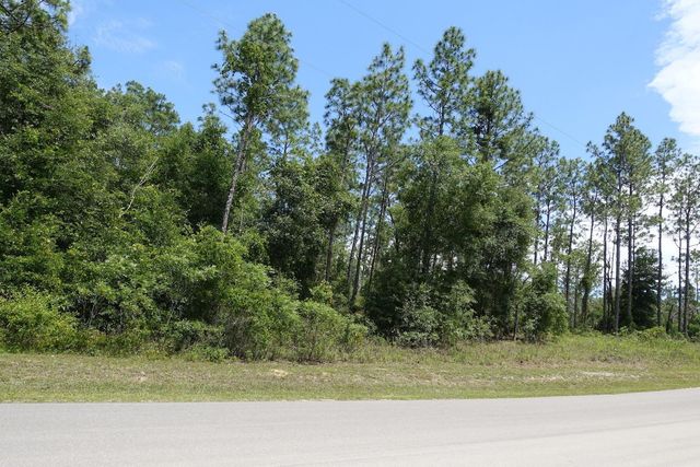 SW 38th Street & SW 159 COURT, Ocala, FL 34481