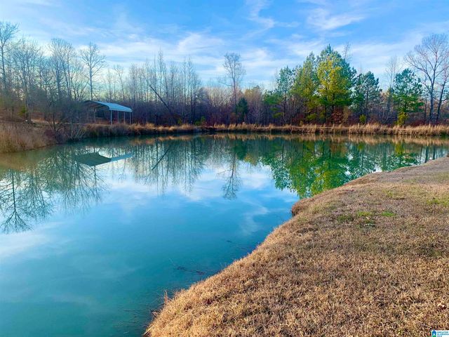 3723 MOUNT GILEAD ROAD, Jacksonville, AL 36265